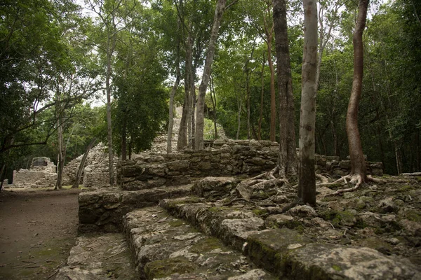 Pirámide Ruinas Arqueológicas Coba Sitio Cultura Maya Quintana Roo México — Foto de Stock