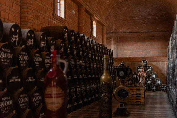San Luis Potosi, fıçılı tekila fabrikası.