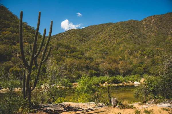 Peisaj Vară Lac Munți Boca Sierra Los Cabos Mexic — Fotografie, imagine de stoc