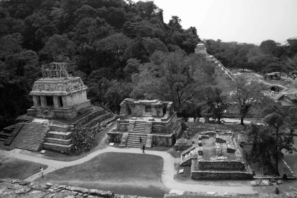 Wide Angle Aerial View Palenque Archeological Mayan Site Ruins Mexico — Stock Photo, Image