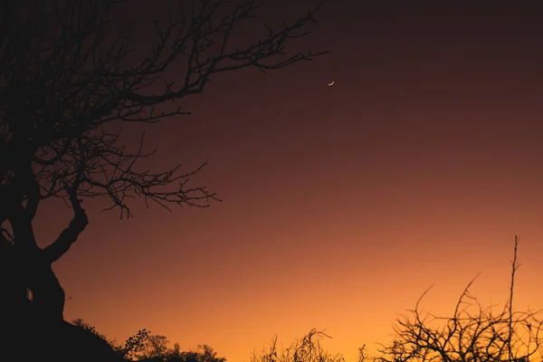 Céu Pôr Sol Hora Noite — Fotografia de Stock