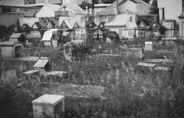 メキシコ コズメル メキシコ 黒と白の墓地 — ストック写真