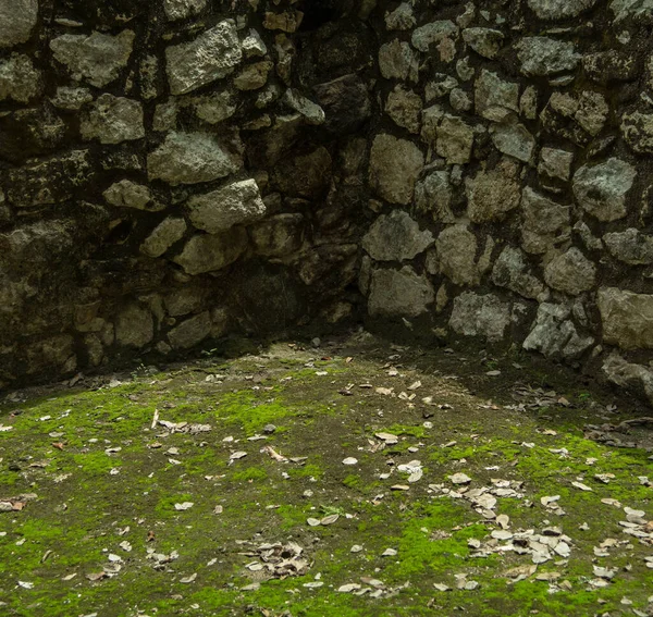 Close Mayan Pyramid Coba Archeological Ruins Quintana Roo Mexico — Stock Photo, Image