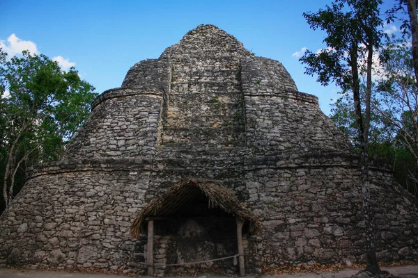 Piramida Coba Archeologiczne Ruiny Majów Quintana Roo Meksyk — Zdjęcie stockowe