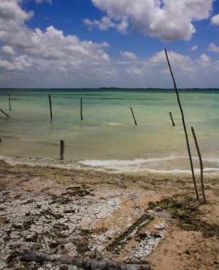 Muyil Lagoon, Quintana Roo, Meksika 'da bulutlu mavi gökyüzü ve turkuaz su