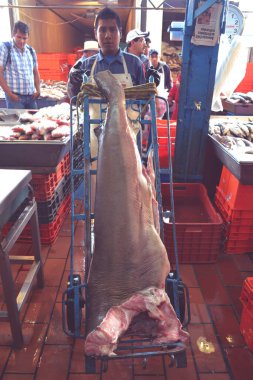 La Viga Market, Mexico City Bu tedarik merkezinde her gün yaklaşık 300 farklı taze ve donmuş tür pazarlanmaktadır. Her tür balıktan kabuklu deniz ürünlerine, karideslere ve hatta köpekbalıklarına.