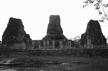 Siyah beyaz fotoğraf, Xpujil, arkeolojik Maya alanı kalıntıları, Campeche Mexico piramidi. 