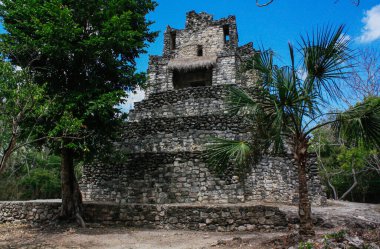 Meksika 'daki Muyil arkeolojik alanının Maya kalıntıları, örneğin Peten tarzı