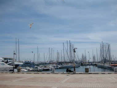 Cannes France, liman sahnesi