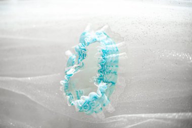 Gelin liginin kapanışı, duvak arkaplanı.