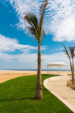 Los Cabos 'ta güzel bir gün, Meksika, çardak, avuç içi