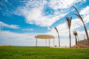 Los Cabos 'ta güzel bir gün, Meksika, çardak, avuç içi