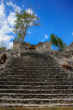Antik Kinichna Maya arkeolojik kalıntıları, Quintana Roo Mexico