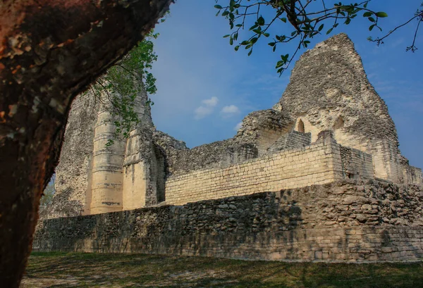 Antik Xpujil Arkeolojik Maya Alanı Kalıntıları Campeche Mexico Piramidi — Stok fotoğraf