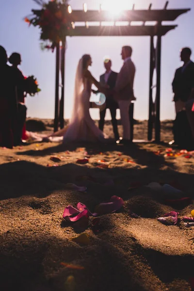 Pareja Enamorada Playa Ceremonia Boda Arco Con Flores —  Fotos de Stock