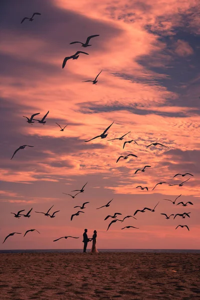 Couple Amoureux Contre Coucher Soleil Ciel Avec Des Oiseaux Volants — Photo