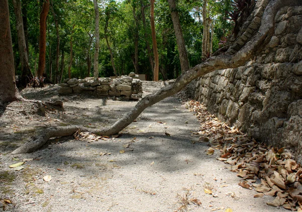 Ancient Kinichna Mayan Archeological Ruins Quintana Roo Mexico — Stock Photo, Image