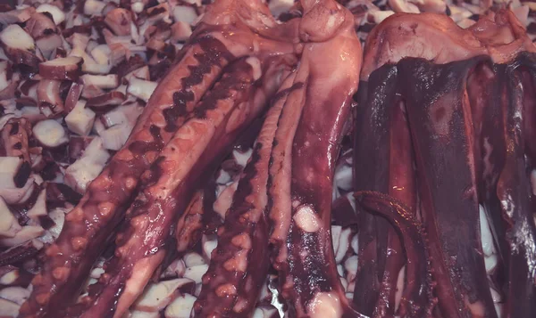 Mexico Nueva Viga Markt Zeevruchten Rauwe Octopus — Stockfoto