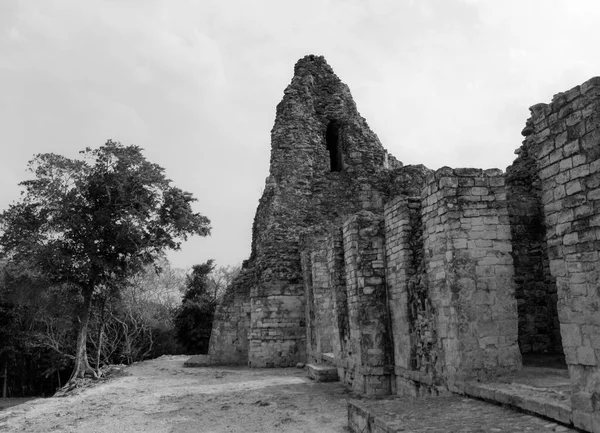 Black White Photo Xpujil Archaeological Mayan Site Ruins Pyramid Campeche — Stock Photo, Image