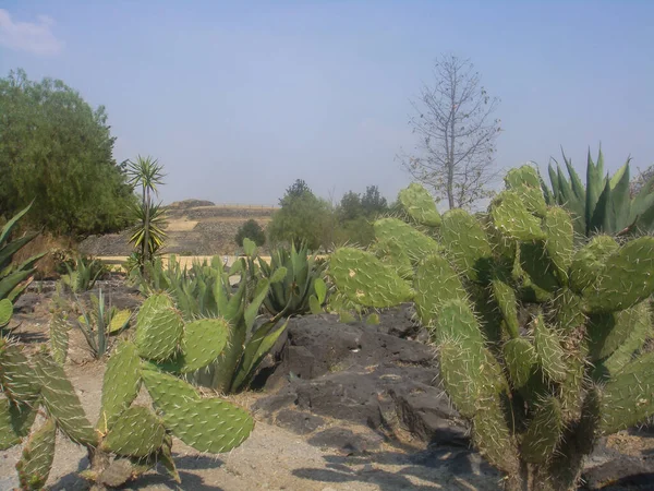 Cuicuilco Importante Sítio Arqueológico Localizado Costa Sul Lago Texcoco Sudeste — Fotografia de Stock