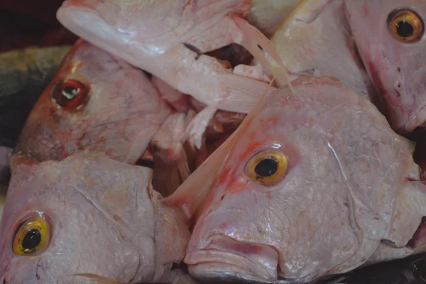 Рыба Вблизи Мексиканском Рынке — стоковое фото