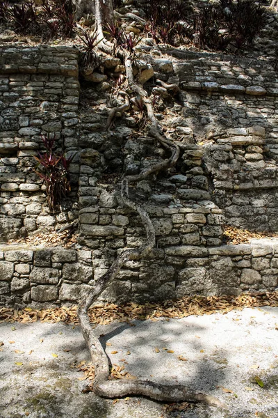 Antiche Rovine Archeologiche Kinichna Mayan Quintana Roo Messico — Foto Stock