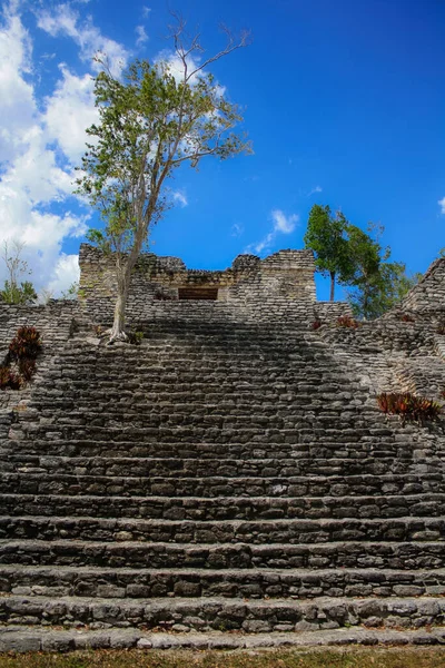 Antiguas Ruinas Arqueológicas Mayas Kinichna Quintana Roo México —  Fotos de Stock