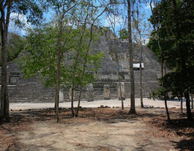 Calakmul arkeolojik Maya alanı yaklaşık 2 kilometrekare (0,77 metrekare mi) alanı kapsar ve kabaca 1000 yapının kalıntılarını içerir.