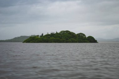Ağaçlı ada, Chacahua Lagoon, Meksika