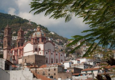 Bir ağacın dalının yeşil yapraklarının güzel fotoğrafı ve arka planda bulanık bir Taxco manzarası.