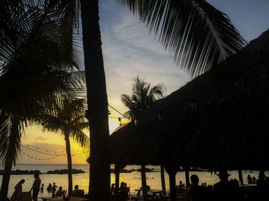 Gün batımında güzel Karayip plajı, palmiye ağaçları 