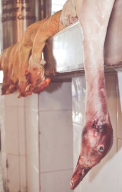 Pazarda asılı ölü kuşlar