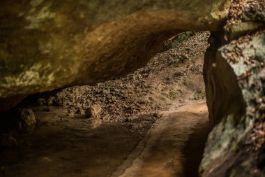 Mağara sahnesi, Xel Ha Mexico.