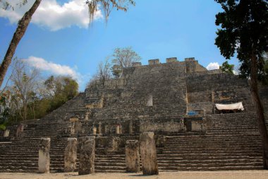 Calakmul, Peten, Calakmul Biyosfer Rezervi, Campeche, Mexico Structure 2, en büyük Meksika Maya Piramidi, Mayalar 'daki en büyük 45 metrelik (148 feet) yükseklik.
