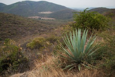 Xochicalco 'da güzel bir manzara, Meksika dağları ve tepeleri 