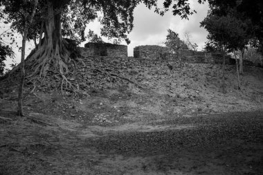 Quintana Roo, Yucatan Yarımadası, Meksika 'daki Dzibanche kalıntıları