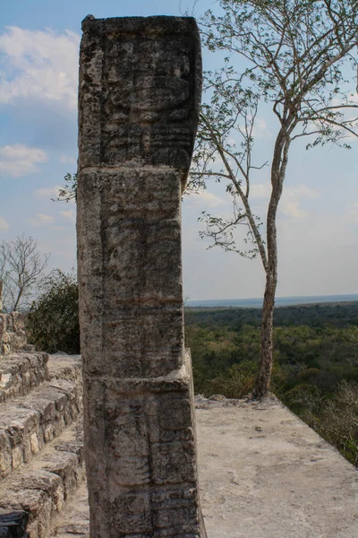 Calakmul Maya Ερείπια Περιέχει Ερείπια Περίπου 1000 Δομές 117 Στήλες — Φωτογραφία Αρχείου