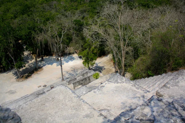Calakmul Biosphere Reserve Ligt Aan Voet Van Het Schiereiland Yucatn — Stockfoto