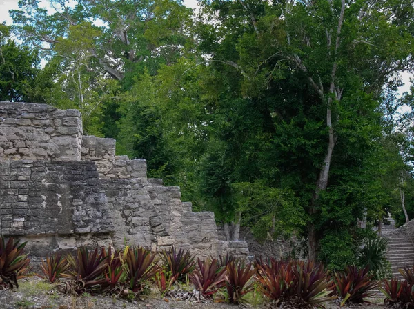 Mayan Ruins Dzibanche Located Quintana Roo Yucatan Peninsula Mexico — Stock Photo, Image