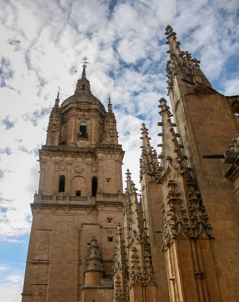 Nouvelle Cathédrale Salamanque Par Une Journée Ensoleillée — Photo