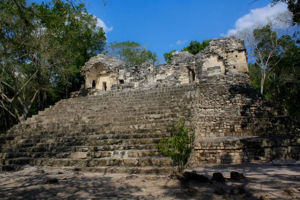 Calakmul Μεξικό Αρχαιολογικός Χώρος Μάγια Ερείπια Πυραμίδα — Φωτογραφία Αρχείου