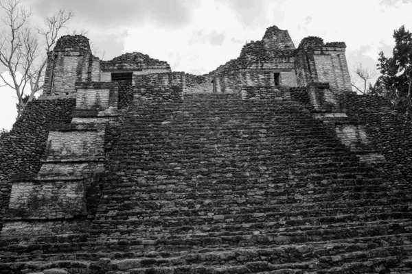 Mayan Ruins Dzibanche Located Quintana Roo Yucatan Peninsula Mexico Pyramids — Stock Photo, Image