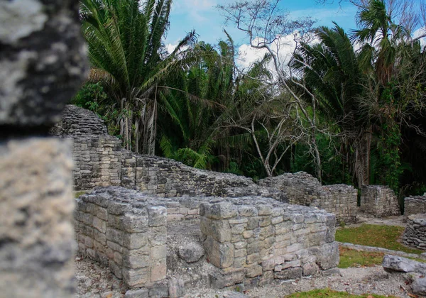 Stanowisko Archeologiczne Kohunlich Prekolumbijskiej Cywilizacji Majów Meksyk — Zdjęcie stockowe