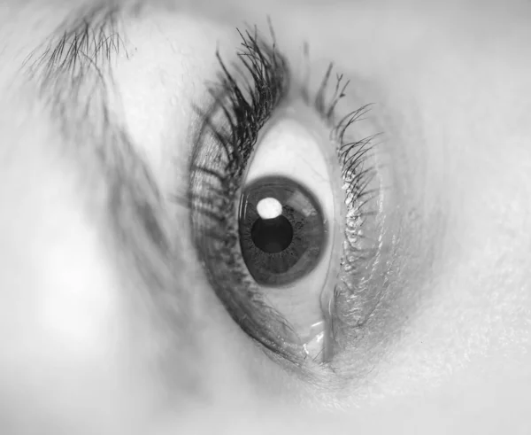 Μαύρο Και Άσπρο Macro Κοντά Ένα Γυναικείο Μάτι — Φωτογραφία Αρχείου