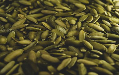 Çok sayıda organik kabak tohumuna yakın çekim