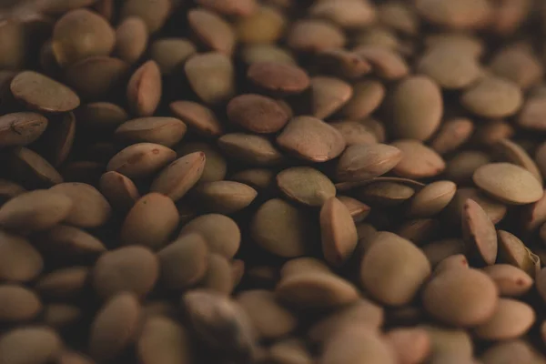 Raw Organic Lentil, Macro photography, selective focus