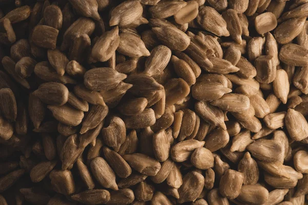 Many Sunflower Seeds Top View Macro Photograph — Stock Photo, Image