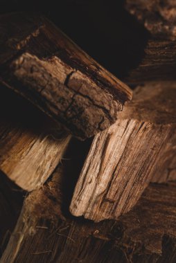 Dry Palo Azul ya da Cyclolepis genistoides ağacının makrosu, seçici odak noktası