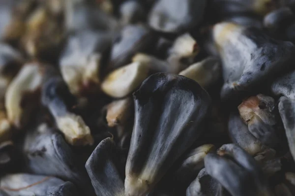 Makro Nahaufnahme Des Essbaren Huitlacoche Mais Pilzes Traditionelles Mexikanisches Gericht — Stockfoto