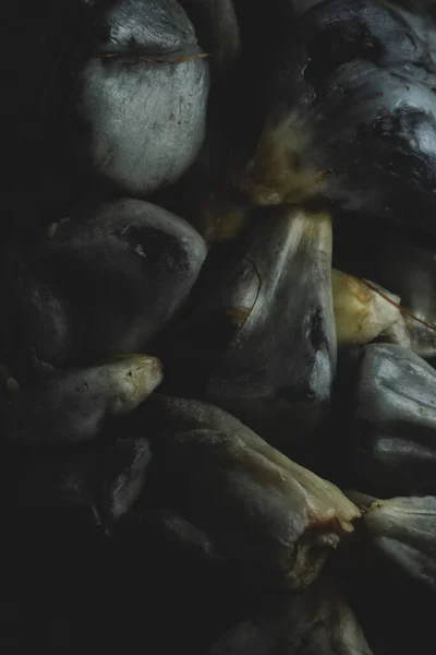 Macro close up of Huitlacoche corn edible fungus, traditional mexican dish, selective focus